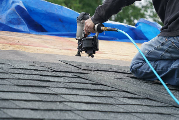 Best Roof Gutter Cleaning  in Brooksville, FL
