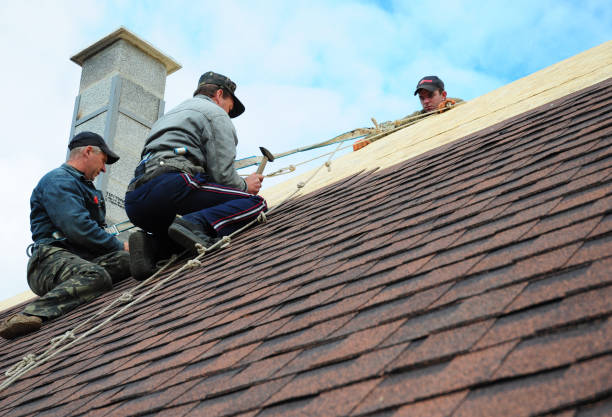 Best Flat Roof Repair Services  in Brooksville, FL